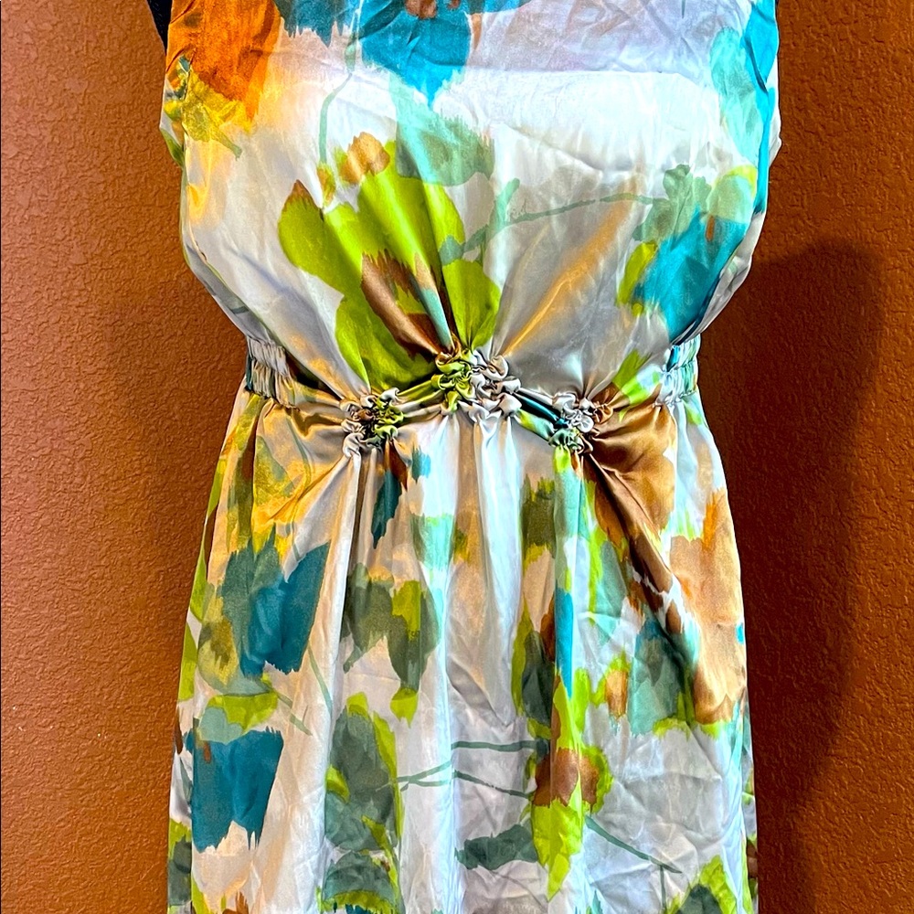 Simply Vera Vera Wang dress